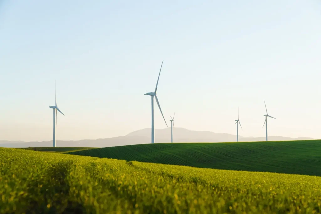 Windkraftanlagen auf grünen Feldern als Symbol für regenerative Energie und nachhaltige Projektplanung.
